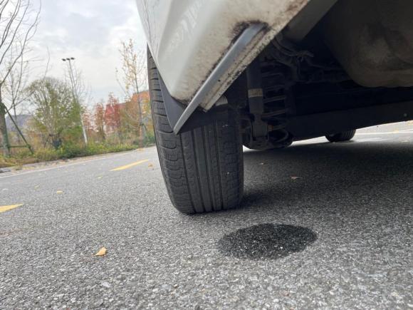 [金华·浙G] 二手福特嘉年华2013款 三厢 1.5L 手动风尚型