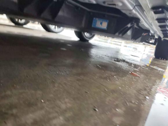 [上海·苏F] 二手云度云兔2023款 415km 跃动款