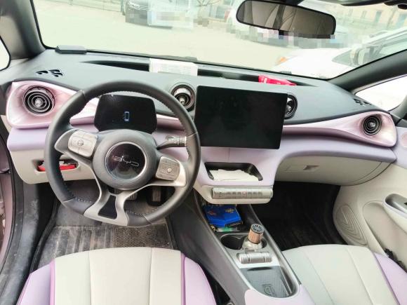 [济南·鲁A] 二手比亚迪海豚2021款 405km 时尚版