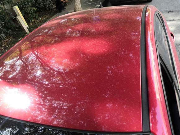 [无锡·苏B] 二手奇瑞艾瑞泽52019款 1.5L 手动新青春版 国VI