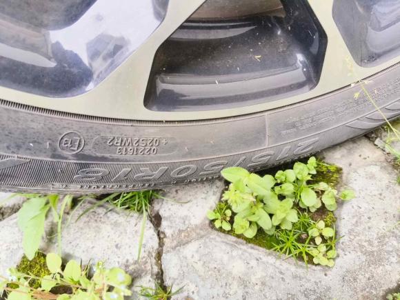 [上海·沪C] 二手福特福克斯Active2020款 EcoBoost 180 自动劲耀型