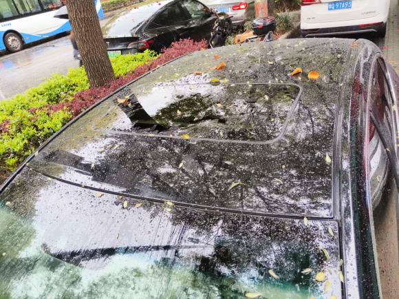 [上海·沪A] 二手荣威荣威e9502017款 50T 混动互联行政版