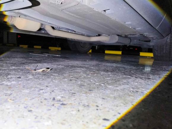 [无锡·苏B] 二手福特翼虎2017款 EcoBoost 245 四驱豪翼型