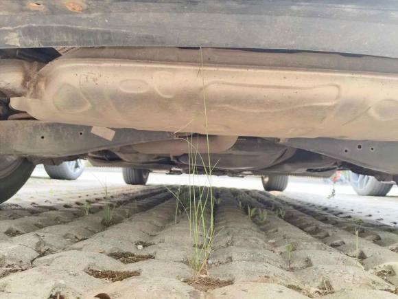 [武汉·鄂A] 二手大众高尔夫2011款 1.6 手动舒适型