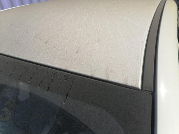 [济南·鲁A] 二手欧拉欧拉黑猫2021款 351km 标准型