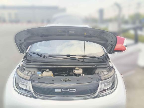 [上海·沪A] 二手比亚迪海豚2021款 405km 时尚版