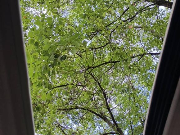 [上海·沪C] 二手日产阳光2011款 1.5XL CVT豪华版