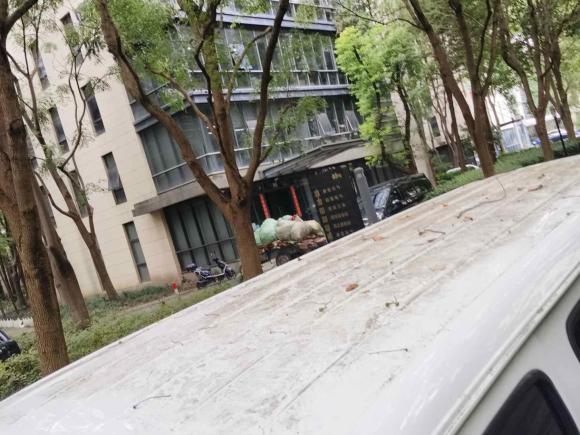 [上海·皖M] 二手金杯金杯海狮2018款 2.0L五代快运标准型标准顶6座V19S