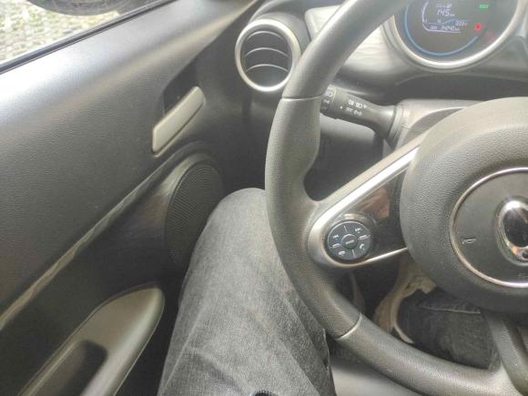 [上海·沪A] 二手欧拉欧拉黑猫2019款 351km 亲子版