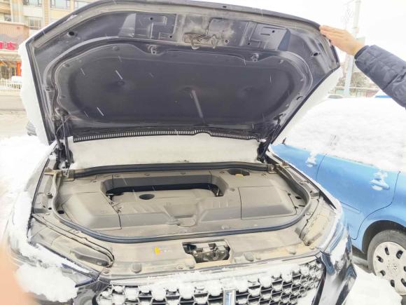 [青岛·鲁B] 二手魏牌魏牌 VV62020款 2.0T 两驱智护+