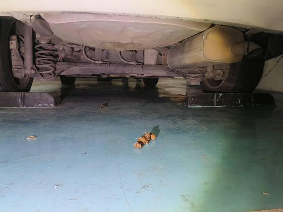 [嘉兴·浙A] 二手福特福睿斯2017款 幸福版 1.5L 自动时尚型