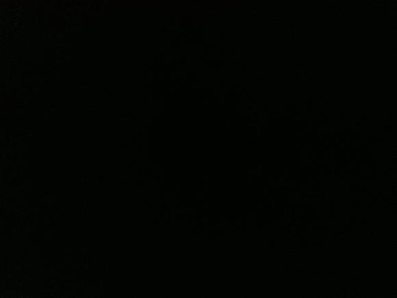 [南京·苏A] 二手本田艾力绅2016款 2.4L 豪华版