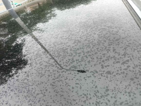 [深圳·粤B] 二手比亚迪海豚2021款 405km 时尚版