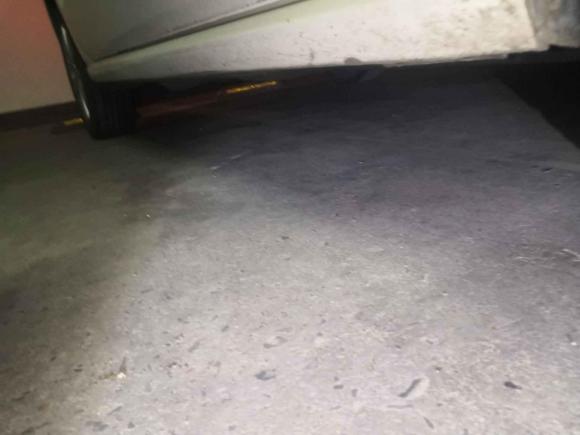 [青岛·鲁B] 二手大众Polo2014款 1.6L 自动舒适版