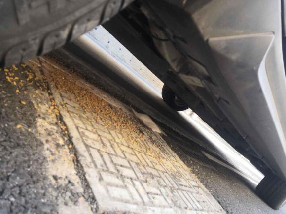 [常州·苏D] 二手北汽新能源北汽新能源EC52019款 新尚版