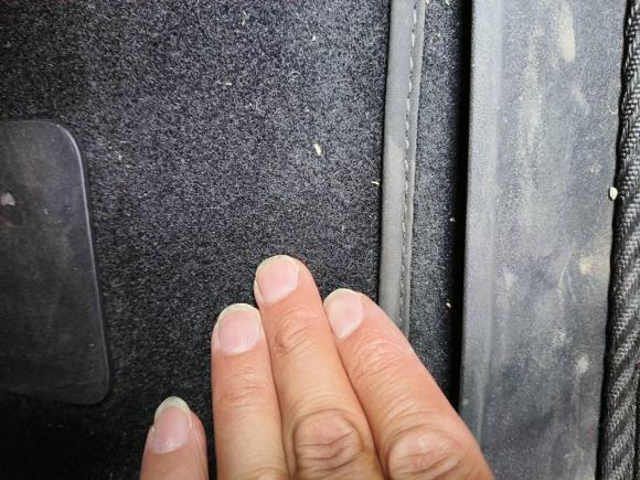 [合肥·皖A] 二手特斯拉Model Y2022款 改款 后轮驱动版