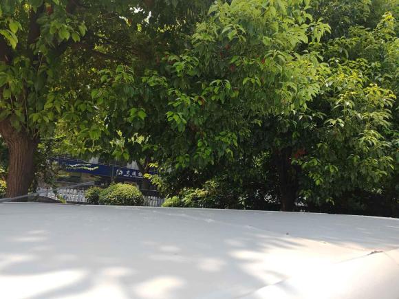 [嘉兴·浙A] 二手福田智蓝精灵E72022款 标准型46.36kWh