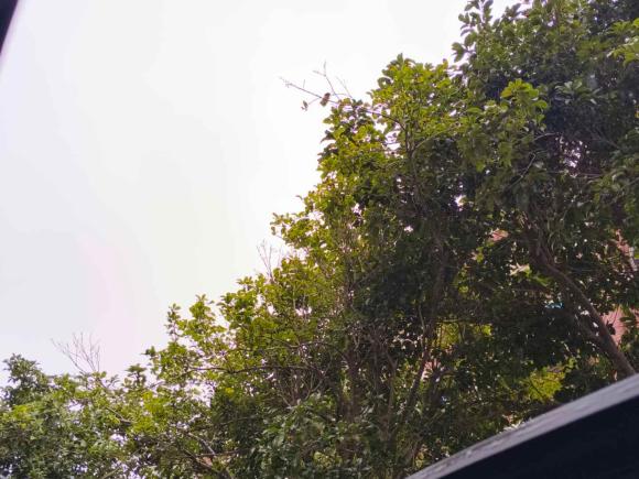 [上海·苏U] 二手领克领克062023款 Remix 1.5T 劲Halo