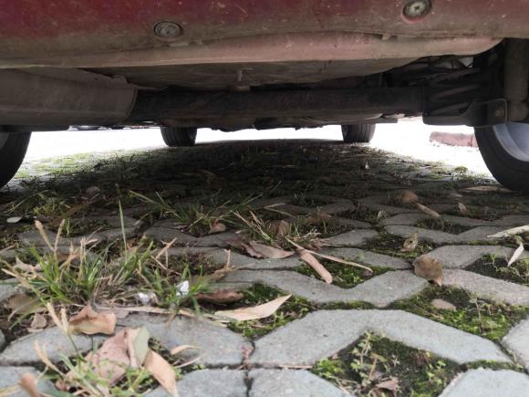 [南京·苏A] 二手菲亚特致悦2014款 1.4T 自动运动版