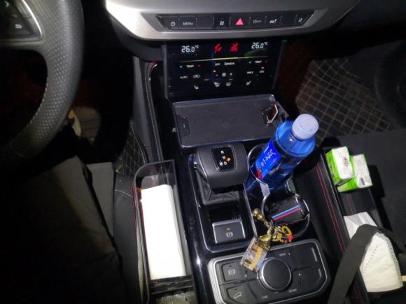 [成都·川A] 二手红旗红旗HS72021款 2.0T DCT两驱智联旗享版