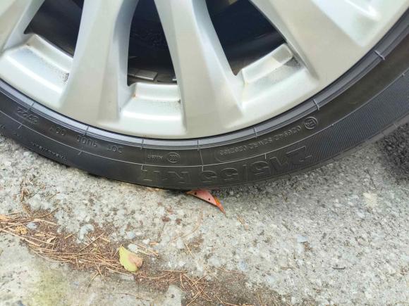 [上海·沪L] 二手丰田凯美瑞2018款 2.0G 豪华版