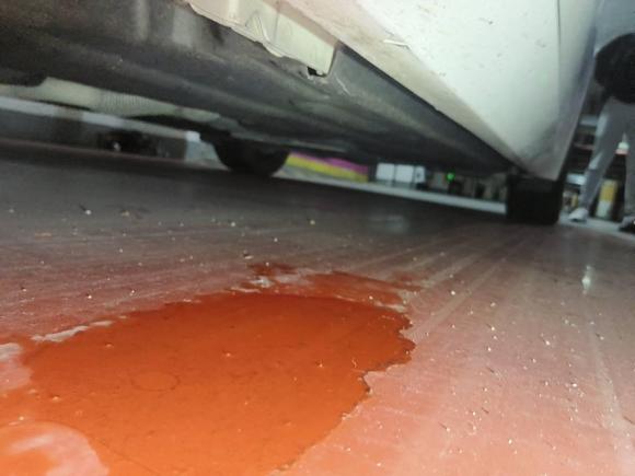 [嘉兴·浙F] 二手捷豹捷豹XEL2020款 2.0T 200PS S进取优雅版