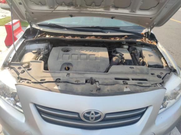 [上海·苏B] 二手丰田卡罗拉2007款 1.6L 自动GL