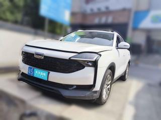 观致观致72020款 1.6T 护航精英型