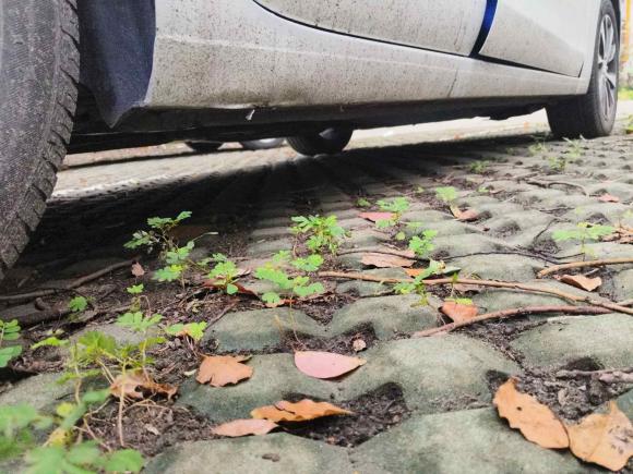 [上海·沪C] 二手别克阅朗2019款 18T 自动互联精英型 国VI