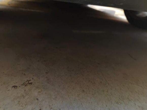 [嘉兴·浙F] 二手福特Mustang2019款 2.3L EcoBoost