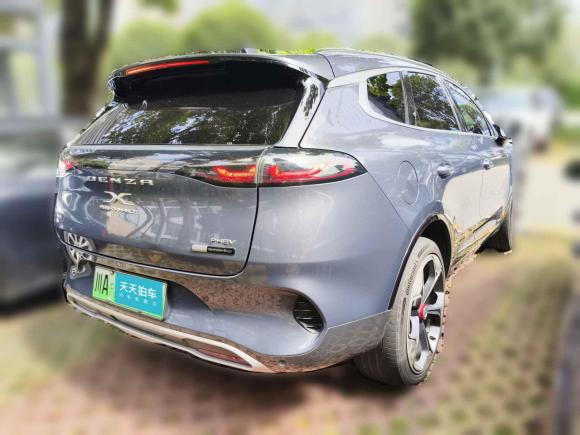 [成都·川A] 二手腾势腾势X2020款 PHEV旗舰版