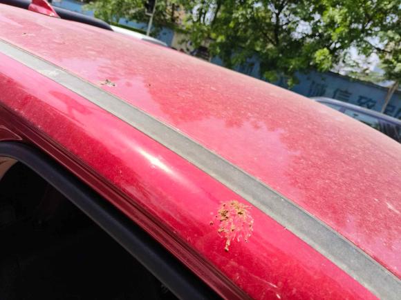 [成都·川A] 二手长城炮2021款 2.0T商用版手动汽油四驱精英型长箱GW4C20B