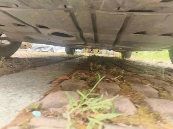 [杭州·浙A] 二手马自达马自达32010款 1.6L 自动经典时尚型