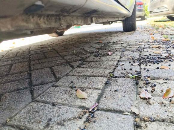 [南京·苏A] 二手别克别克GL82014款 2.4L 经典版