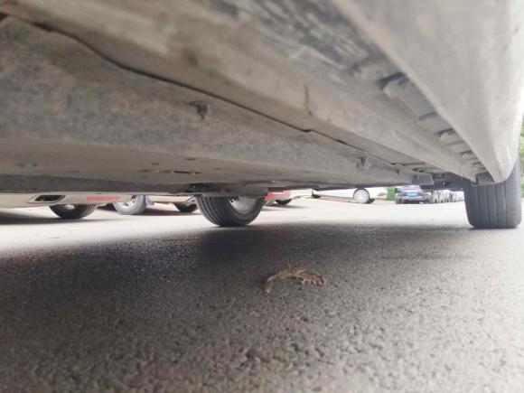 [济南·鲁A] 二手长安逸动2021款 PLUS 蓝鲸NE 1.4T GDI DCT旗舰型