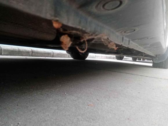 [佛山·粤B] 二手马自达马自达52008款 2.0 自动舒适型