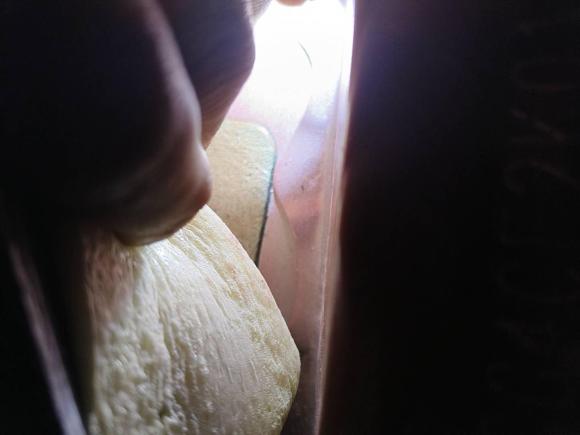 [成都·川A] 二手比亚迪宋Pro2019款 1.5T 自动尊贵型