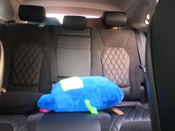 [义乌·浙G] 二手红旗红旗HS52019款 2.0T 智联旗享版