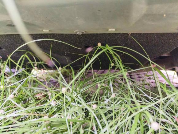 [佛山·湘A] 二手福特探险者2020款 EcoBoost 285 后驱风尚版 7座