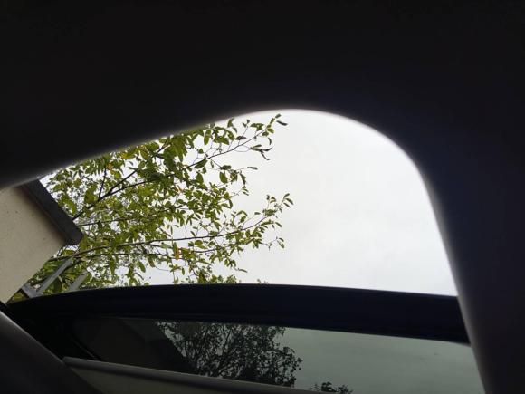 [嘉兴·浙F] 二手福特福克斯2019款 三厢 EcoBoost 180 自动锋潮型