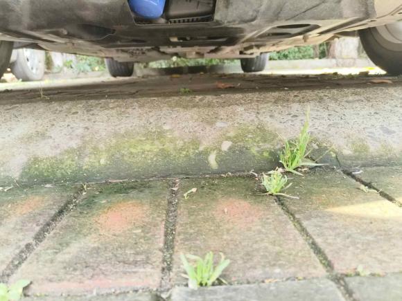 [成都·川A] 二手别克君越2019款 28T 尊贵型