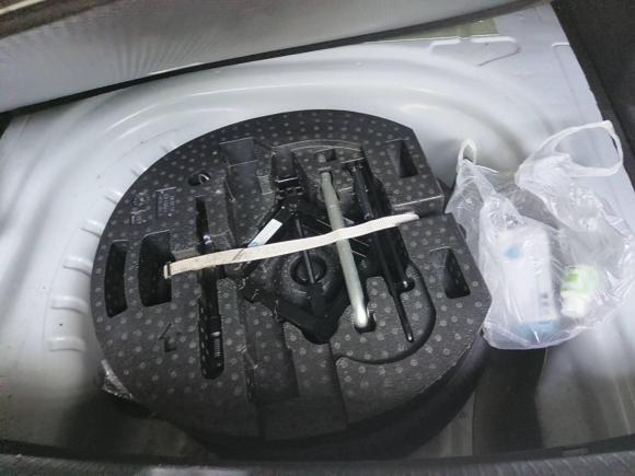 [上海·沪A] 二手大众朗逸纯电2019款 优享版