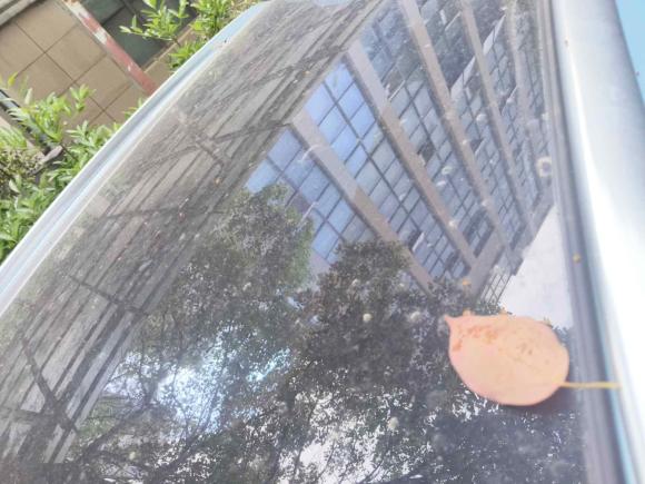 [武汉·鄂A] 二手岚图汽车岚图FREE2021款 四驱标准增程专属豪华套装