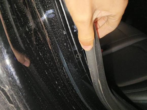 [青岛·鲁B] 二手特斯拉Model Y2021款 标准续航后驱版