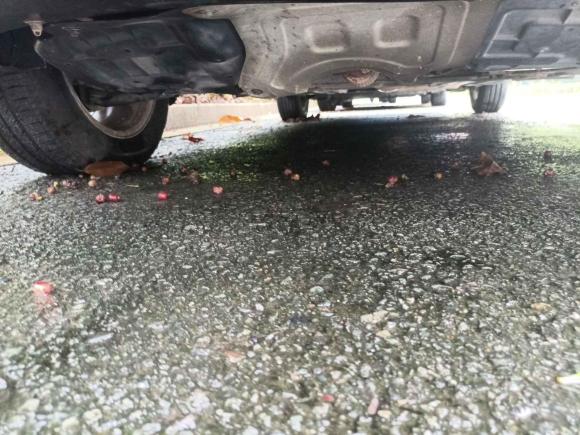 [深圳·粤S] 二手宝骏宝骏3602018款 1.5L 手动精英型 国V