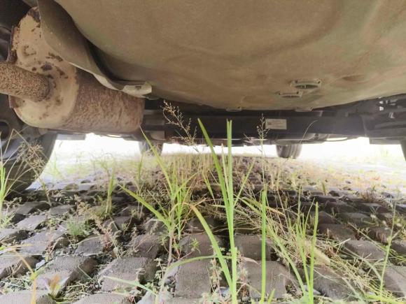 [济南·鲁A] 二手雪佛兰爱唯欧2014款 三厢 1.4SL AT 时尚天窗版