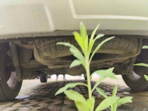 [温州·浙C] 二手北汽幻速北汽幻速S32016款 S3L 1.5L 手动尊贵型