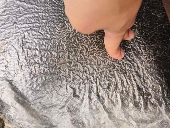 [苏州·苏E] 二手长安凯程长安欧尚A6002016款 1.5L 手动精英型7座