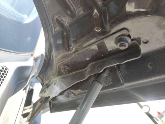 [温州·浙C] 二手奥迪奥迪A12012款 1.4 TFSI Ego