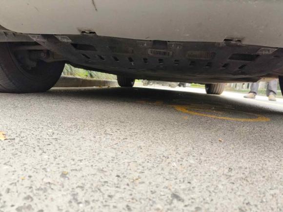 [上海·沪A] 二手红旗红旗E-HS92021款 510km 旗畅版 六座